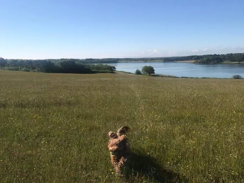 Druridge Bay Country Park